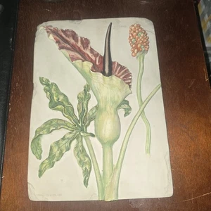 gallina e piume vintage 3D resina arte da parete 10x7" fiore - Foto 1 di 7