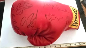 IBHOF 2009 SIGNIERTER HANDSCHUH BRAMBLE JONES BERTO OLIVARES ORTIZ CANIZALES & COA - Bild 1 von 2