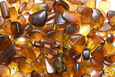Lot of 50 amber preforms - Every piece with insects! Guaranteed genuine - Image 1 of 4