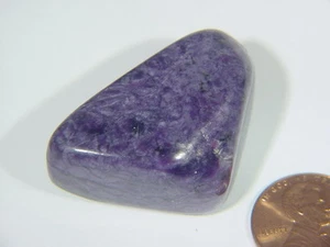 Butw AAA Russe Charoïte Triangle Poli Pièce Spécimen Lapidaire Pierre 7328B - Imagen 1 de 1