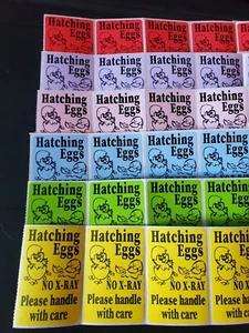 200 Handle with care no x-ray Hatching Eggs shipping labels 3" x 2" u pick - Picture 1 of 16