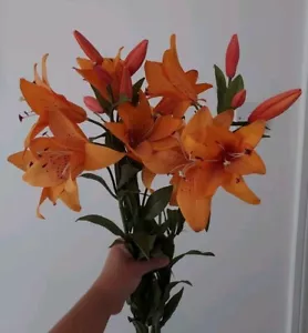 Artifical Lily Faux Flowers: Bouquet of 3 Orange Lilies - Large Size 89cm length - Picture 1 of 11