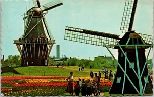 Windmill Island Holland Giant De Zwaan Mill MICHIGAN CHROME POSTCARD D12 - Picture 1 of 2