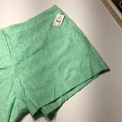 Pantalones Cortos Cato Para Mujer Talla 26W Plus Nuevos con Etiquetas Verde Encaje Elegante Clásico Forrado Se Ajusta a la Cintura Foto 1 de 4
