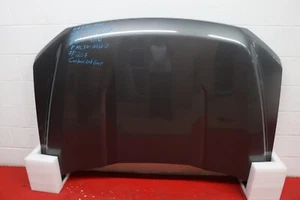 2021 2023 FORD F150 FRONT HOOD OEM - Picture 1 of 7