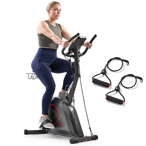 Sunny Health & Fitness 16-Level Magnetic Resistance Upright Bike SF-B224004 - Picture 1 of 8