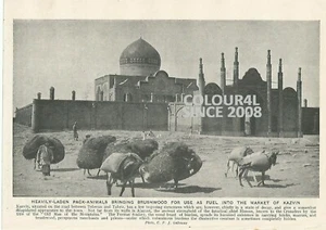 IRAN PERSIA Qazvin Emamzadeh Hossein shrine c 1920 PHOTO BOOK PRINT PICTURE - Picture 1 of 1