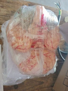 Human Brain Model Anatomy Teach Brain Model 6 Parts Labeled Life Size - Picture 1 of 4
