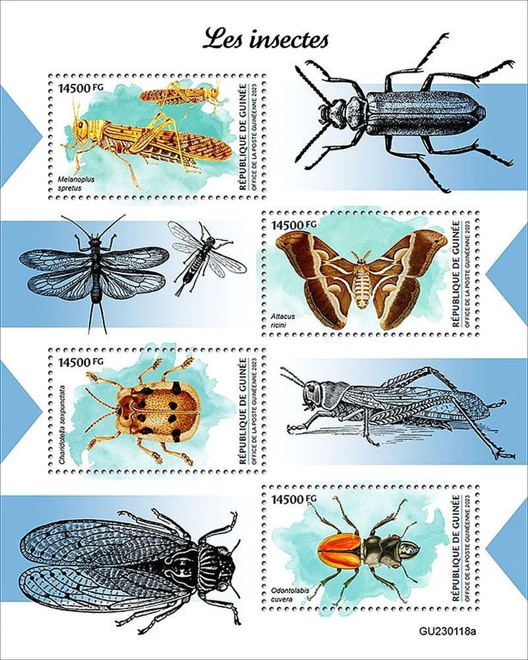 INSECTS Locust/Moth/Beetles Insect MNH 4v-Stamp Sheet #99 (2023 Guinea) - Image 1 of 1