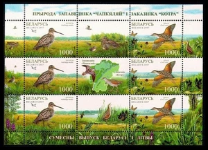 Belarus 2007 * BIRDS * CEPKELAI NATURE RESERVE * S/SHEET * MNH - Imagen 1 de 1