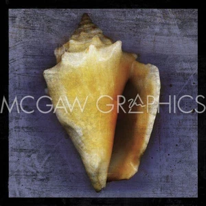 Fighting Conch, John Golden, Wall Decor Home Art Print Poster 12" x 12" 2333 - Picture 1 of 2