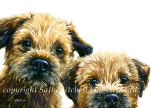 Pack of 5 border terrier greetings cards by Paul Doyle C269 - Picture 1 of 1