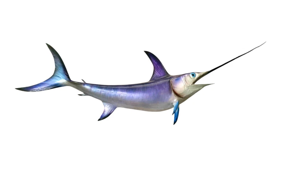 Swordfish Large 58” Wall Mount Replica Hand Painted Nautical Decor - Image 1 of 4