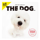 2024 The Dog Calendar Bichon Frize