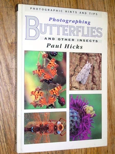 PHOTOGRAPHING BUTTERFLIES AND OTHER INSECTS - Picture 1 of 8