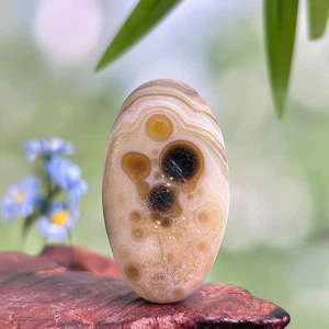 Natürliches China Innere Mongolei Gobi Auge Achat Präparat - Bild 1 von 2