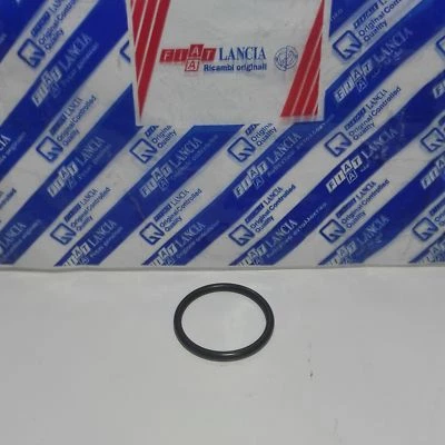 ANELLO TENUTA BOBINA FIAT PANDA - PUNTO - LANCIA YPSILON ORIGINALE 14463980 - Immagine 1 di 4