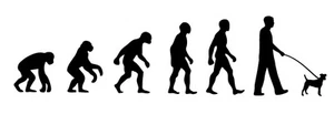 Jack Russell Walker 'Evolution' car sticker, vinyl decal - Picture 1 of 3