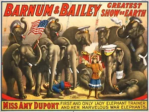 12893.Deko Poster.Zimmer Wand Innen Kunst Gestaltung.Elefanten Zirkus Show - Bild 1 von 1