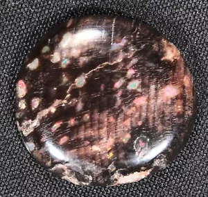 4,5 Karat Edel Opalisierter Conk Holz Cabochon Virgin Valley Nevada - stabiler Opal - Bild 1 von 7