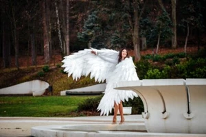 Angel Wings Costume Accessory Adult Halloween Dance Cosplay Bird Costume - Picture 1 of 9