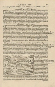 Phrisia. Frisia or Friesland Flood of 1230, Netherlands. SEBASTIAN MÜNSTER 1572 - Picture 1 of 1