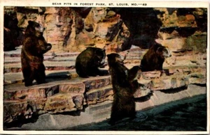 Postal de lino Bear Pits Forest Park St Louis Missouri MO UNP - Imagen 1 de 2