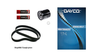 Ducati 906 907 ie Paso 907ie motor timing belt service kit 2x belts oil filter