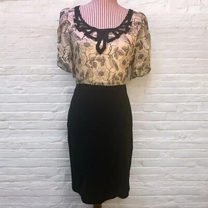 Anthropologie Eva Franco Silk Birds & Flowers Retro Whimsical Sheath Dress Sz 4 - Picture 1 of 10