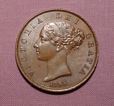 1855 QUEEN VICTORIA COPPER HALFPENNY - Top Grade Coin - NUNC • 89.40£
