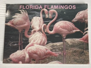 Postcard - Florida Flamingos - Bild 1 von 4