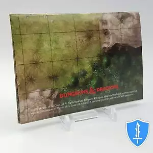 Wildnis Roadmap - Icons of the Realms episches Level Starter D&D Miniatur - Bild 1 von 2