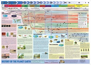 Póster Historia del Planeta Tierra - Imagen 1 de 1