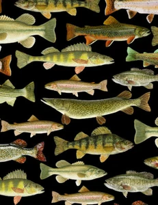 Timeless Treasures Realistic Fish Trout Perch Bass 100% Cotton Quilt Fabric BTY - Picture 1 of 2