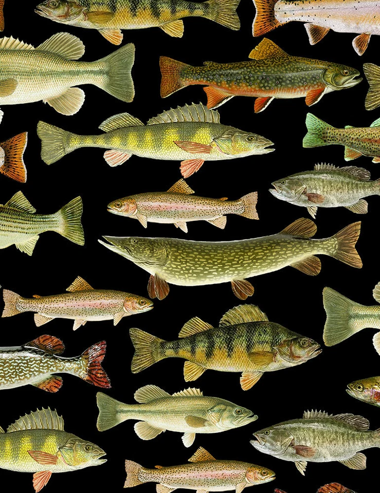 Timeless Treasures Fabrics Gone Fishing Black Fish