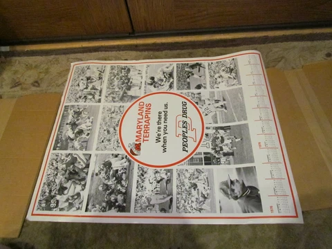 1978 1979 Maryland Terrapins Football Poster Cover