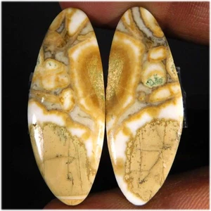 34.80Cts Naturel Étonnant Cobra Jasper Assortis Paire Chic Cabochon Libre Gemme - Bild 1 von 3