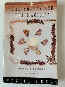 The Shaman and the Magician : Journeys Between the Worlds by Nevill Drury... - Picture 1 of 7