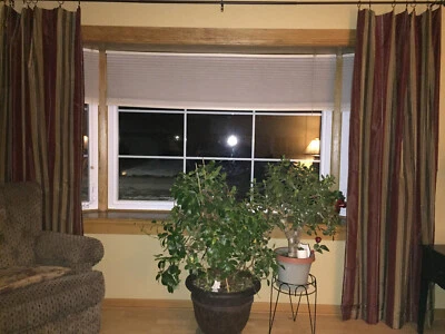 Restoration Hardware cortinas de seda 84” X 50” rayas, sangría Foto 1 de 3