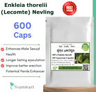 600 Caps 100% Enkleia Thorelii (Lecomte) Nervling Enhance Sexual Better Erection