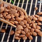 500g Apricot seeds - Kernels - VERY BITTER - Organic Xing Ren hot