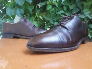 alessandro demesure alligator leather oxford