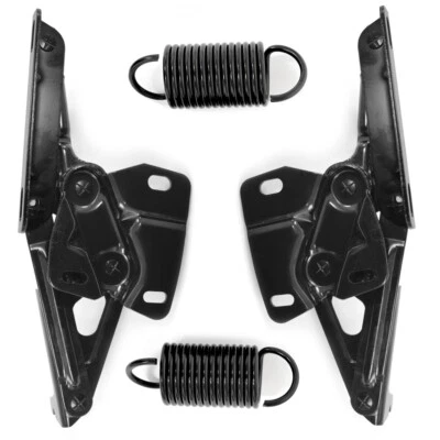 Par de bisagras de capó y resorte Mustang 1965-1966 Foto 1 de 3