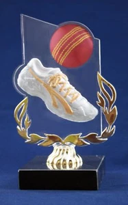 SALE SPORTS AWARD CRICKET TROPHY FREE ENGRAVING - Bild 1 von 1