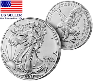 2021-2024 US Coins 1Oz the United States Freiheitsstatue Magnetic Silver Plate - Bild 1 von 7
