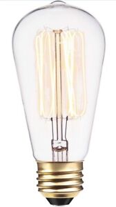 Globe Electric Dimmable Cage Filament Vintage Edison 60W 220 Lumens Light Bulb