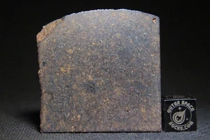 NWA 13866 L6 Chondrit Meteorit 19,7 Gramm Teilscheibe - Bild 1 von 3