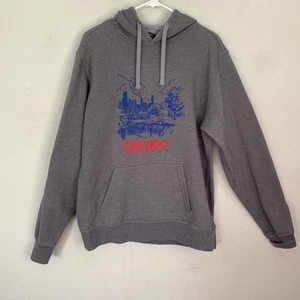 The North Face Hoodie Mens Medium Graphic Chicago Skyline Sweatshirt Gray Good - Picture 1 of 12