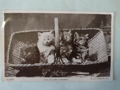 Early Real Photo Cat Postcard -  Four Pretty Kittens, Wildt & Kray - Image 1 of 2
