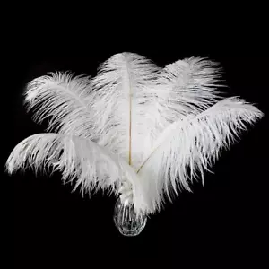 24 PCS White Ostrich Feathers 10-12" Wedding Centerpieces Home Decoration - Picture 1 of 8